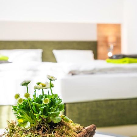 Hotel-Pension Treppengasse Nr 6 Altenburg Exteriör bild